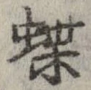 位置定マレル蝶