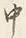 字の