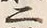 字二