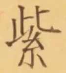 文字紫
