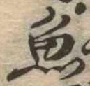 已定位魚