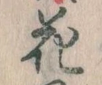 位置 確認된 花