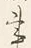 字事
