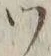 字ア