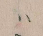 Located 𛂞