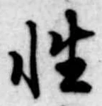 Đã định vị 性