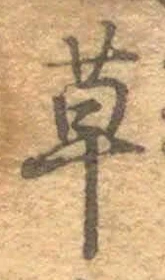 𡨸草