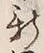 字新