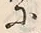 Chữ 呵