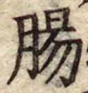 Đã định vị 腸