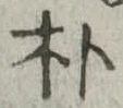 朴の位置
