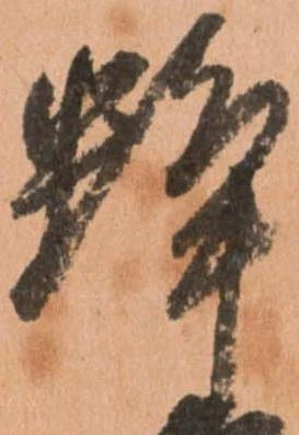 Đã định vị 蜂