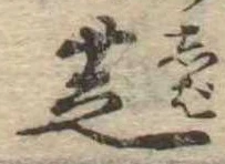 位置 確認된 芝