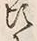 Character 頃