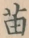 文字苗