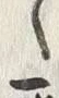 「ゝ」字