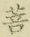 文字菩