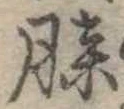 已定位膝