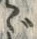 Chữ ゞ