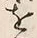 字見