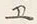 字廿