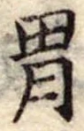Đã định vị 胃