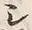 「ヤ」字