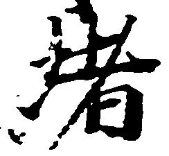 位置 確認된 堵