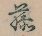 已定位藤