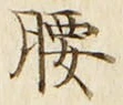 Character 腰