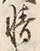 文字情