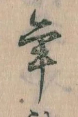 位置 確認된 年