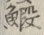 鰕 위치 확인됨