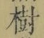 「樹」字