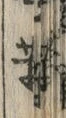 「新」字
