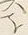Character 探