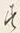 Character 時