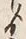文字 ゟ