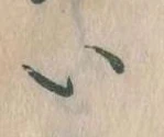 已定位𛀆