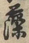已定位藻