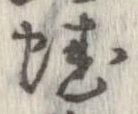 位置 確認된 蛙