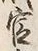 「官」字