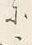 字に
