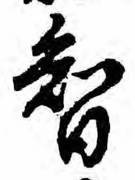Đã định vị 智