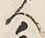 字手