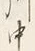 字中