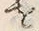 字見