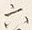 文字六