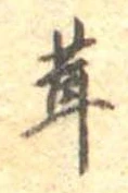 位置定マレル茸