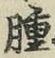 「腫」字